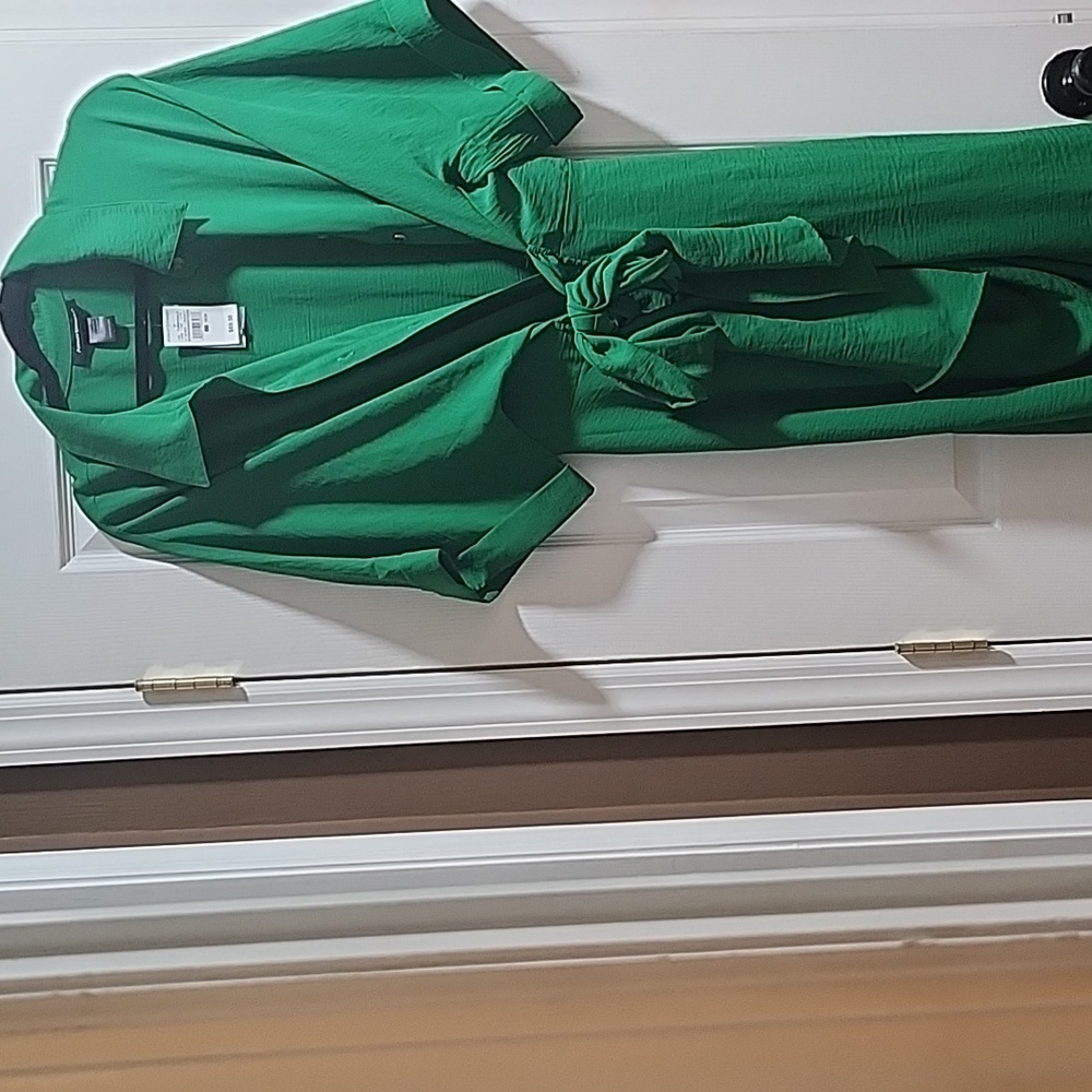 Ashley STEWART New gorgeous stylish green dress 18/20w